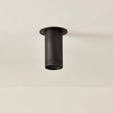 Berg Flush Mount