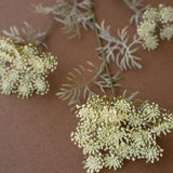 Greta Artificial Lace Flower Spray Bundle