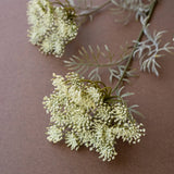 Greta Artificial Lace Flower Spray Bundle