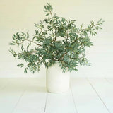 Forba Eucalyptus Branch Bundle