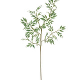 Forba Eucalyptus Branch Bundle