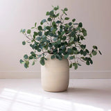 Elijah Eucalyptus Branch Bundle