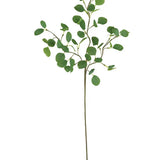 Elijah Eucalyptus Branch Bundle