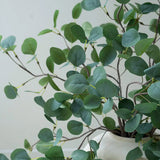 Elijah Eucalyptus Branch Bundle