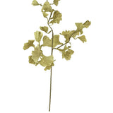 Marty Botanica Spray Bundle