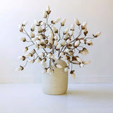 Magnolia Spray Bundle