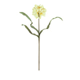 Josie Flower Stem Bundle