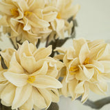 Josie Flower Stem Bundle