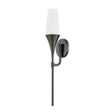 Luisa Sconce