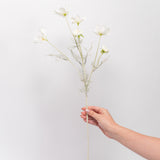 Cosmos Spray - 23.5"