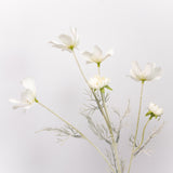 Cosmos Spray - 23.5"