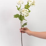 Hydrangea Stem - 25"