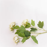 Hydrangea Stem - 25"