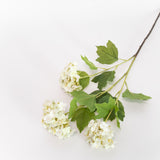 Hydrangea Stem - 25"