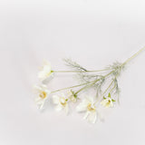 Cosmos Spray - 23.5"