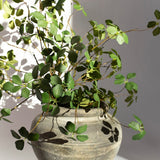 Leaf Spray - 32"