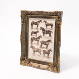 Horse Breed Illustration Framed Art