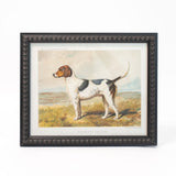 Foxhound Framed Wall Art