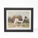 Pointer Dog Framed Wall Art