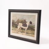 Pointer Dog Framed Wall Art