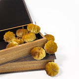 Mini Velvet Pumpkins - Set of 12