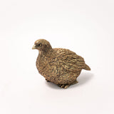 Gold Pheasant - Set of 2