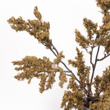 Moss Branch - 29.5"