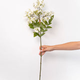 White Lilac Stem - 34"