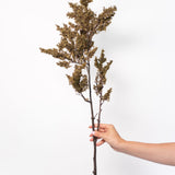 Moss Branch - 29.5"