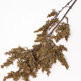 Moss Branch - 29.5"