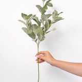 Frosted Leaf Branch - 26.5"