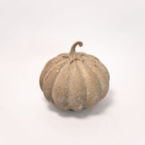 Dusty Finish Pumpkin - 2 Sizes