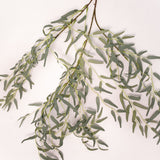 Willow Branch - 39"