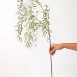 Willow Branch - 39"