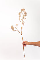 Dried Glitter Baby's Breath Stem - 29