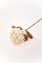 Hydrangea Stem - Ivory - 26
