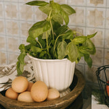 Fluted Stoneware Pot - 2 Sizes