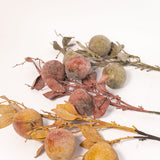 Crabapple Stem - 31" - Red