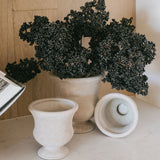 Ceramic Pedestal Urn - 2 Sizes