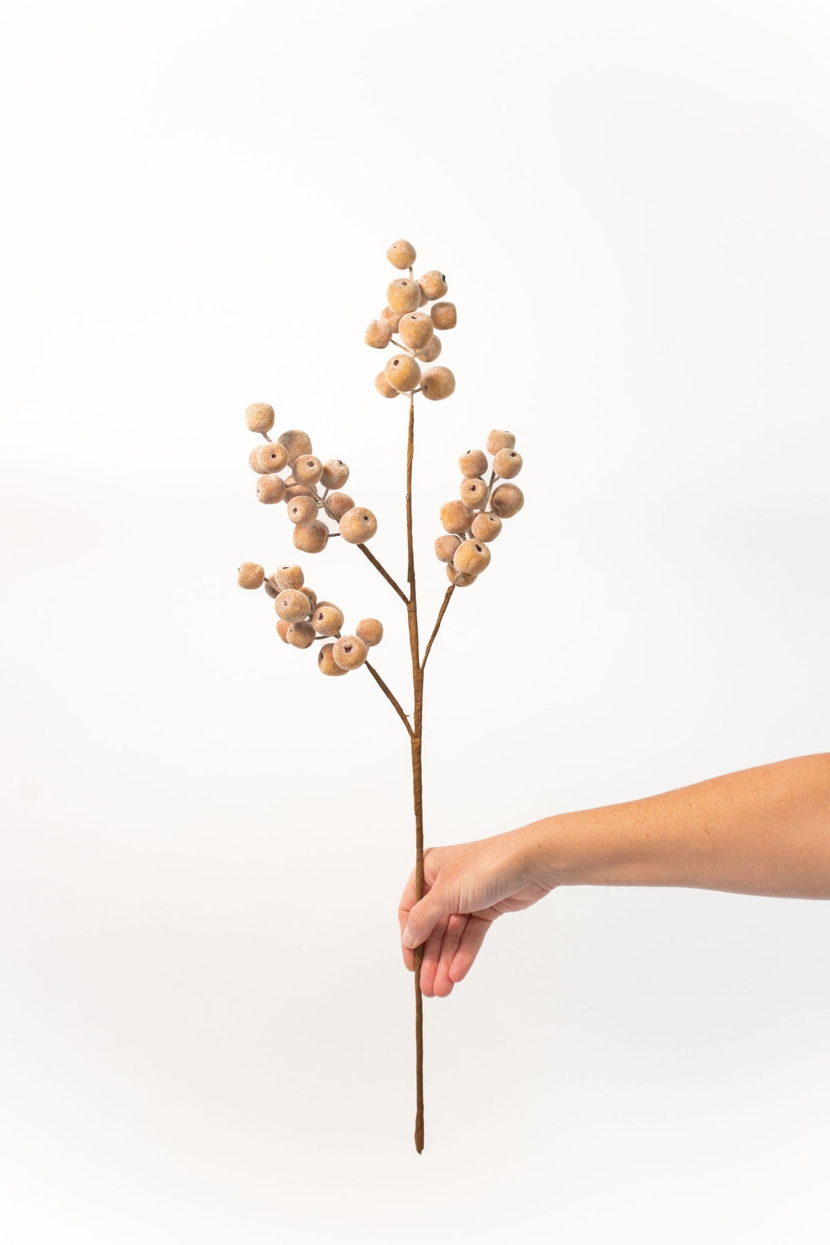 Crabapple Branch - 26