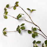 Leaf Spray - 32"