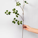 Leaf Spray - 32"