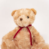 Teddy Bear with Bow - 2 Sizes