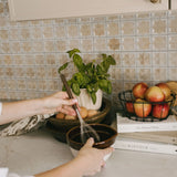Kitchen Whisk with Wooden Handle