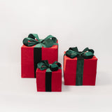 Red Present with Green Bow - 3 Sizes