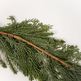 Mixed Pine, Juniper and Cedar Garland - 6'
