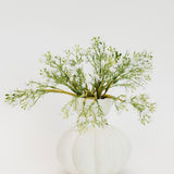 Vail Baby's Breath Bundle