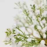 Vail Baby's Breath Bundle