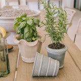 Handcrafted Ruffle Pot