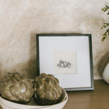 Gathered Fruit Sketch Framed Art